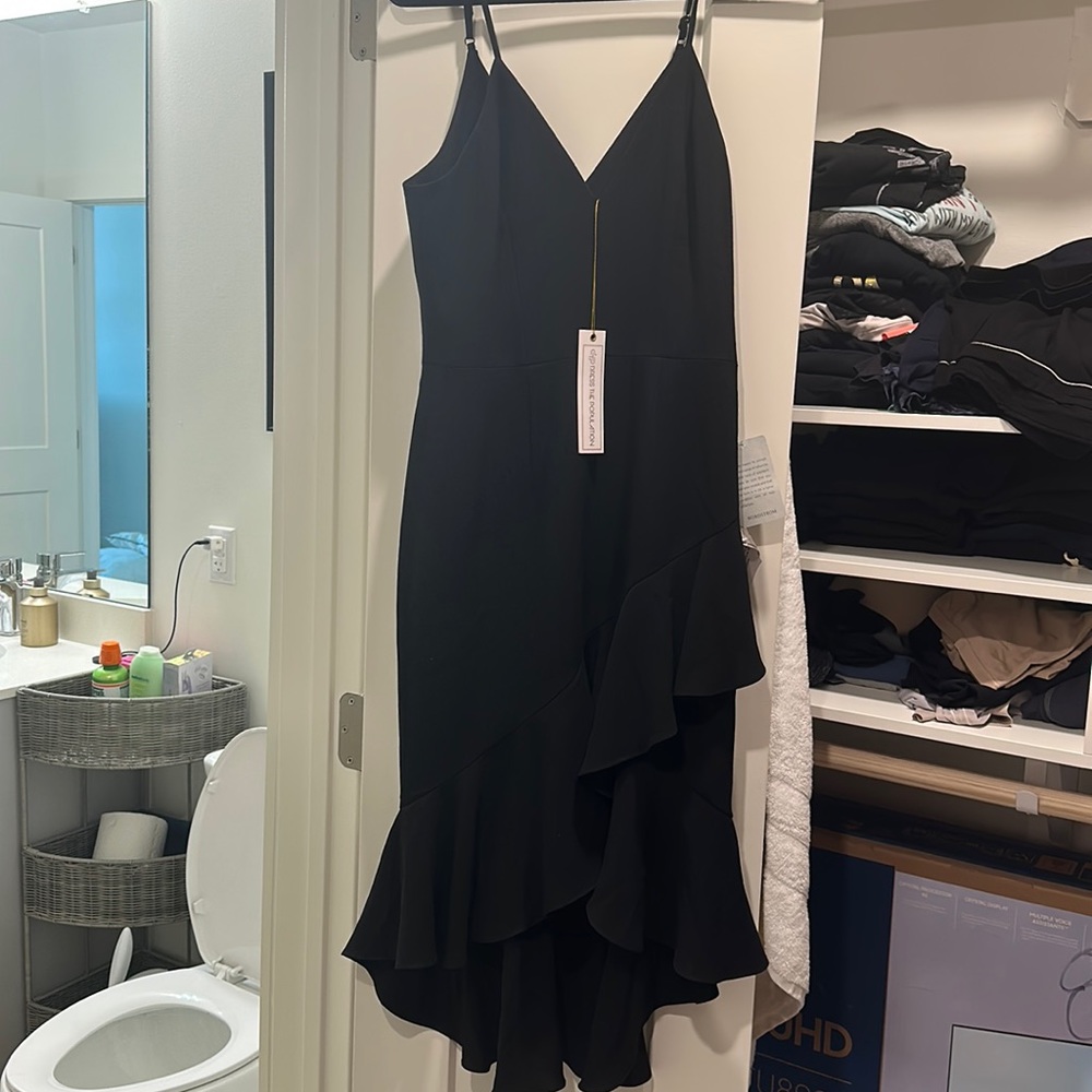Dress the Population - NWT Asymmetrical Dress